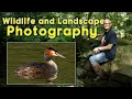 A great summer morning of landscape and bird photography