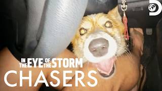 Storm Chaser Rescues Dog Moments Before Tornado Hits | In the Eye of the Storm: Chasers | Discovery