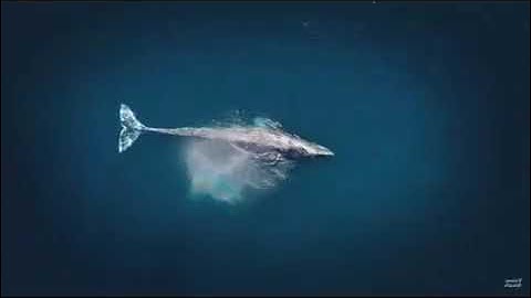 الشيخ.. يوسف العيدروس. ما تيسر من سورة الإسراء.