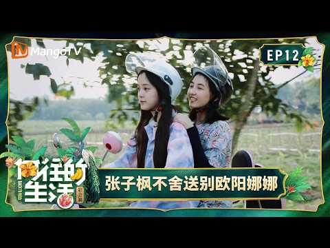 FULL《向往的生活第四季》第12期：宋丹丹认可彭昱畅优质潜力股？张子枫不舍送别欧阳娜娜｜Back To Field S4｜Mango TV
