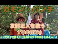 傘の行方 / カモン・パンチ【友部正人  カバー】