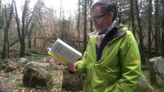 Divine Imagination In Pure Consciousness : John Parr
