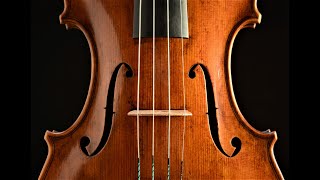 Selecting a Professional-Level Violin or Viola