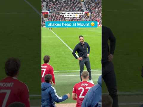 Mason Mount was
