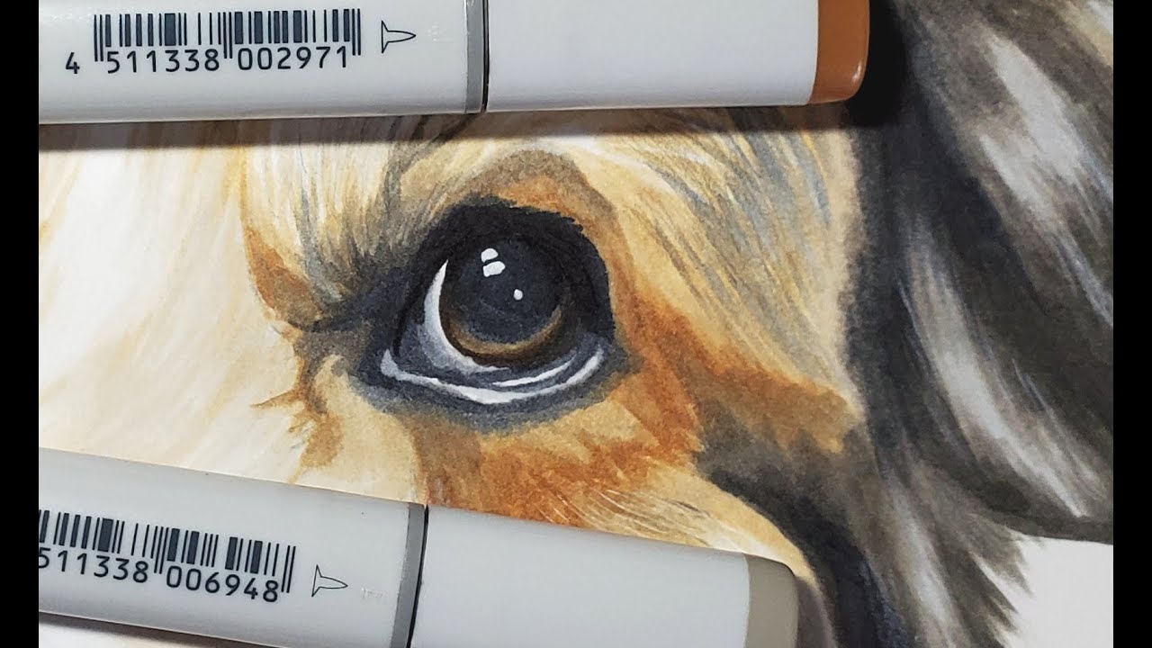 Drawin a Dog with Copic Markers - Timelapse - YouTube