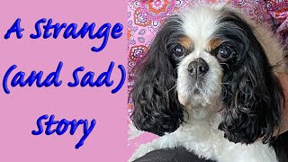 Famous A Strange (and Sad) Story Net Worth