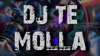 DJ TE MOLLA | DJ TIK TOK TERBARU 2020