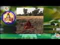 ពណ៌ សដ្ឋាន ក្លិននិងបដិកូលក្នុងអាការ៣២ប្រការត ដោយគ្រូ ទុំ វចនា, Vachana, ...