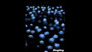 (FREE) Cigarettes After Sex x Dream Pop Type Beat - "temper"