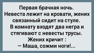 Невеста и Два Негра в Кровати! Сборник Свежих Анекдотов! Юмор!