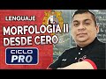 LENGUAJE - Morfología | Parte 02 [DESDE CERO]