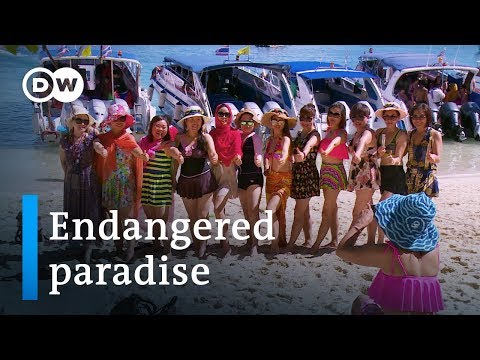 Thailand And The Fallout From Mass Tourism | DW Documentary