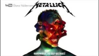 Metallica Am I savage? (oficial audio)