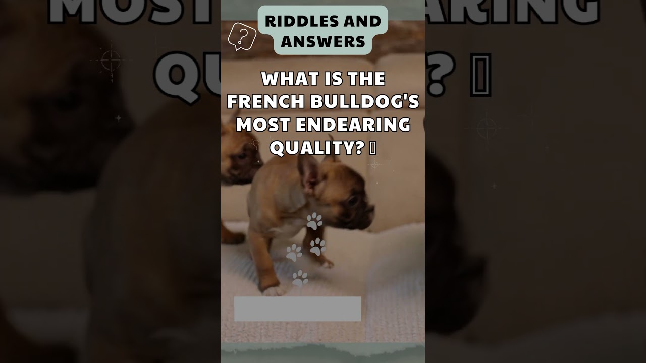 "🎉 Fun and Furry: Join the Dog Riddle Challenge!"