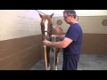 How to Apply amp Use a Rope Twitch on a Horse How to Apply amp Use a Rope Twitch on a Horse
