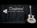 Tanglewood guitars winterleaf tw12 ce  official demo