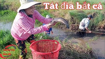 Het leegpompen van vijvers om vis te vangen aan het einde van het overstromingsseizoen | rustieke...