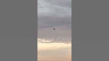 Thumbnail of #fajr #morning #recitation #song #nature