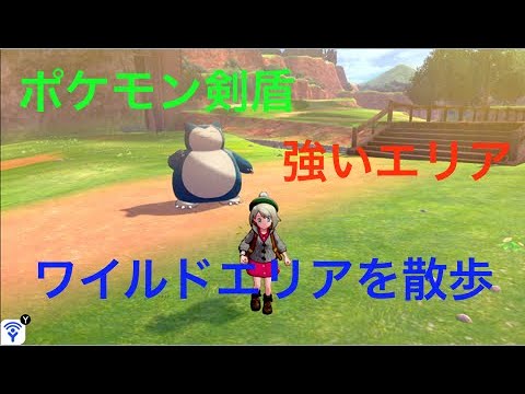 ワイルド エリア 今日 の 天気