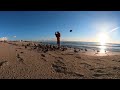 360 The Birdman of Delray.  VR birds on beach experience.