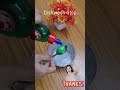 #hacks #easylifewithmevarsha #harharmahadev #viralvideo #youtubeshorts #momlife