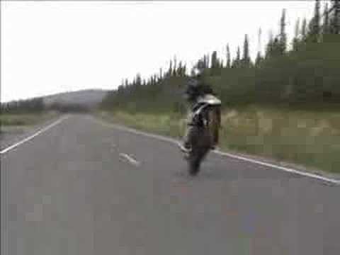 954RR Wheelies Stoppies Burnouts