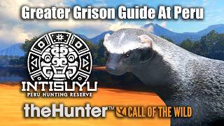 Download lagu Greater Grison Guide At Peru - Intisuyu - theHunter Call Of The Wild.