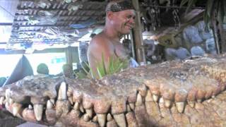 El cocodrilo más famoso de Costa Rica: