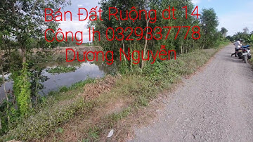 Nhà Đất Bán Đất Ruộng vườn dt 14 Công Giá 150tr Công Thạnh Hóa LA