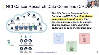 W53 The NCI Imaging Data Commons Towards FAIR imaging data via standardization and openness for AI