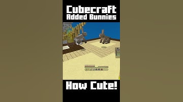 Cubecraft added Bunnies in the Lunar Event - Cubecraft Eggwars 🤣🤣🤣 #shorts #funny