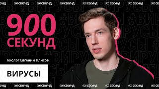 Вирус - враг? Узнай за 900 секунд