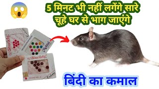 बिना मारे 5 मिनट में घरेलू तरीके से भगाए चूहे 😱 kitchen tips / chuhe bhagane ka aasan tarika