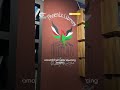 The Phoenix Library: Books rising from the ashes of Gaza