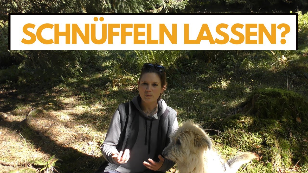 Hund immer schnüffeln lassen? | dogtime Sprechstunde