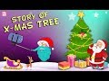 Story Of The Christmas Tree! | The Dr. Binocs Show | Best Learning Videos For Kids | Peekaboo Kidz