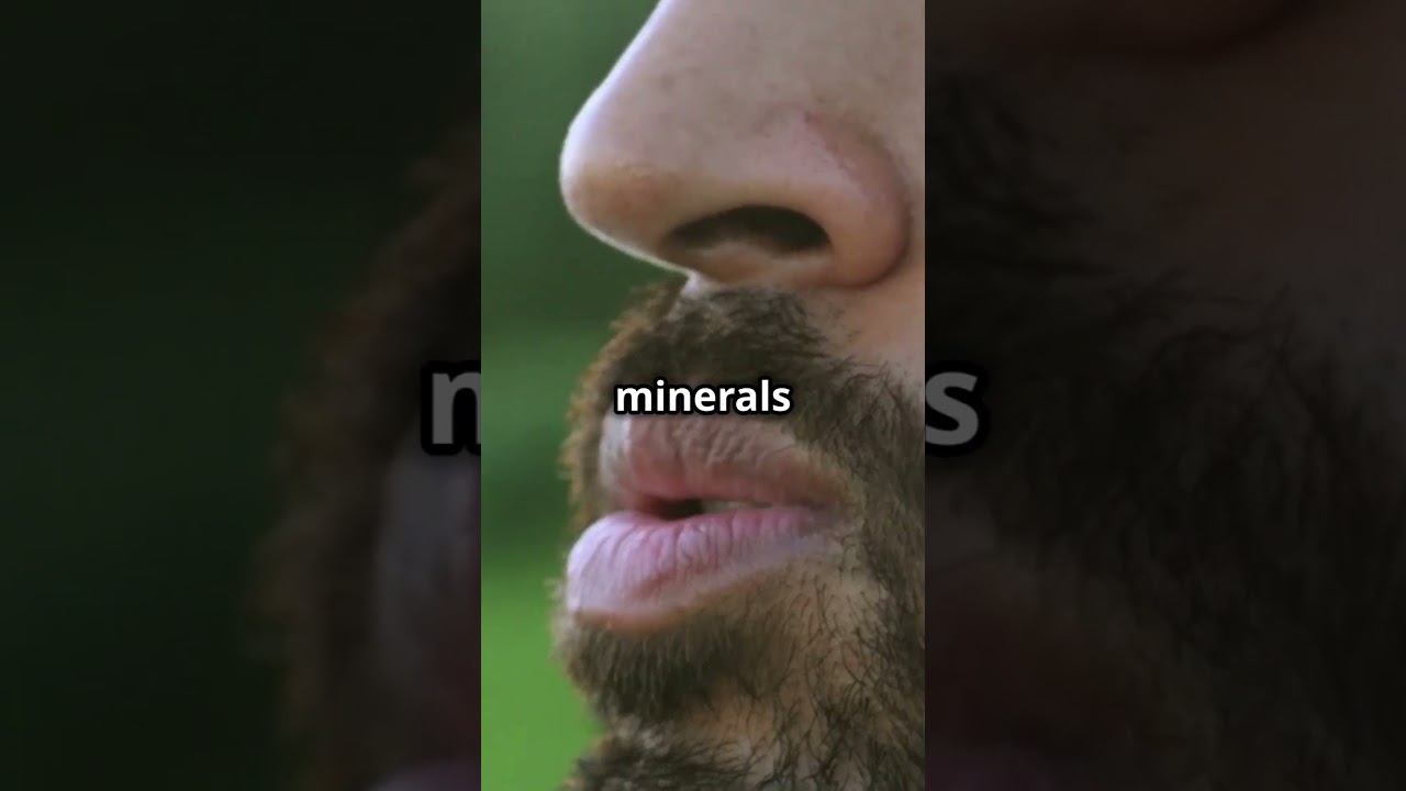 The Science of Human Sweat Why We Sweat 