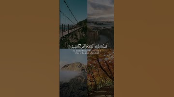 إنَّ المتقين في مقام أمين من سورة الدخان بصوت عبدالرحمن الماجد