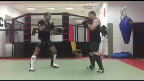 Cro Cop - High kick never dies. Training for Rizin GP (2016)