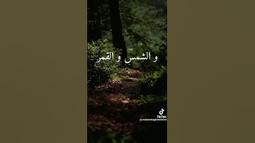 سوره يوسف الشيخ محمد صديق المنشاوي