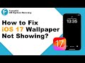 How to Fix iOS 17 Wallpaper Not Showing