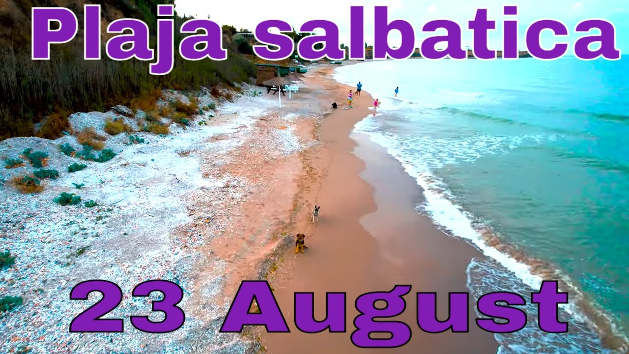 Plaja salbatica 23 August/Sat pescaresc/Wild beach/Fishing village/DJI Air2S cinematic/4K footage