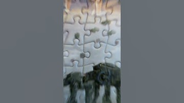 How to glue and mount a puzzle for $1 in 1 minute