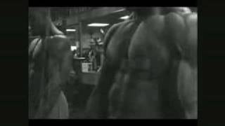 Animal Pump Universal Nutrition