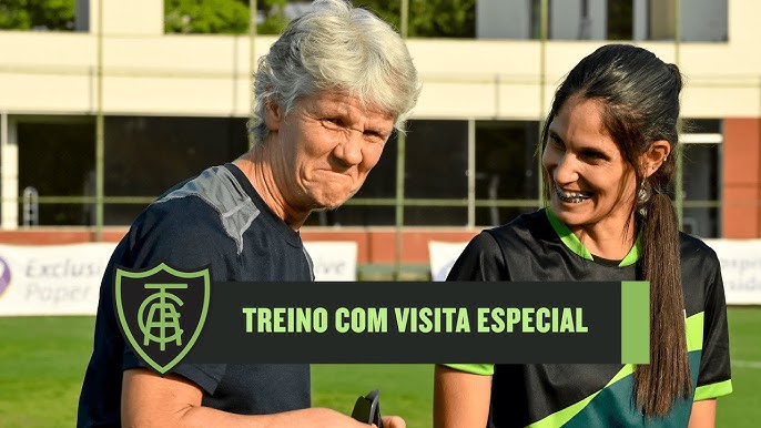 What is the meaning of se puder me ajudar a traduzir uma entrevista da Pia  Sundhage em 1985 eu agradeço. O aúdio é um pedaço do vídeo? - Question  about Swedish