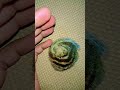cute |squirrel | baby |#squirrel #yt #ytshorts #shortsfeed #shorts #youtubeshorts #pets #beautiful