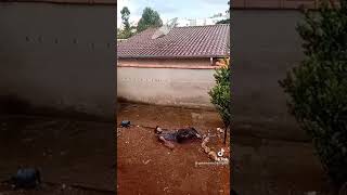 26 De Agosto De 2021