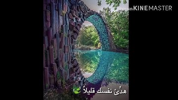 تلاوات خاشعة للشيخ وديع اليمني | سورة الزمر | آية ( ٥٣-٦٧)