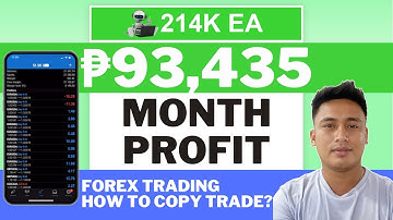 214K Forex Trading EA Update - How to Copy Trade?