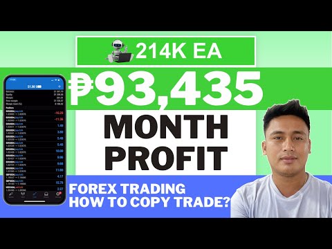 214K Forex Trading EA Update – How to Copy Trade?